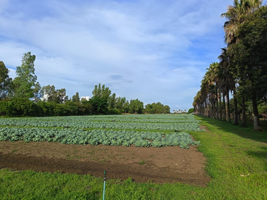 4 Bedroom Property for Sale in Mooinooi North West